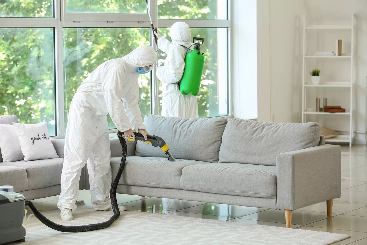 Sofa and furniture pest treatment in a living room