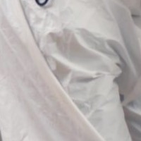 Pest control service
