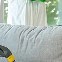 Pest control service