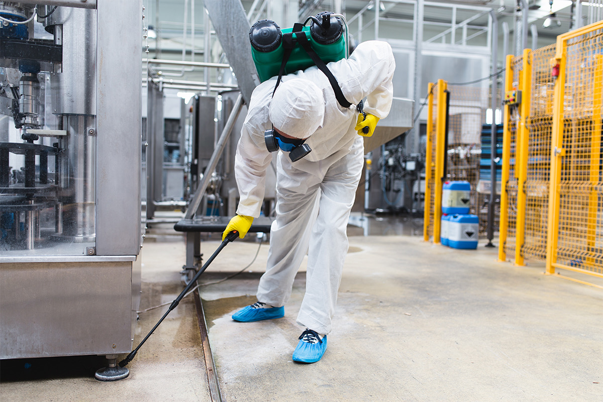Commercial Pest Control by All Out Pest Control