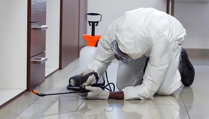 Fly Control service by All Out Pest Control