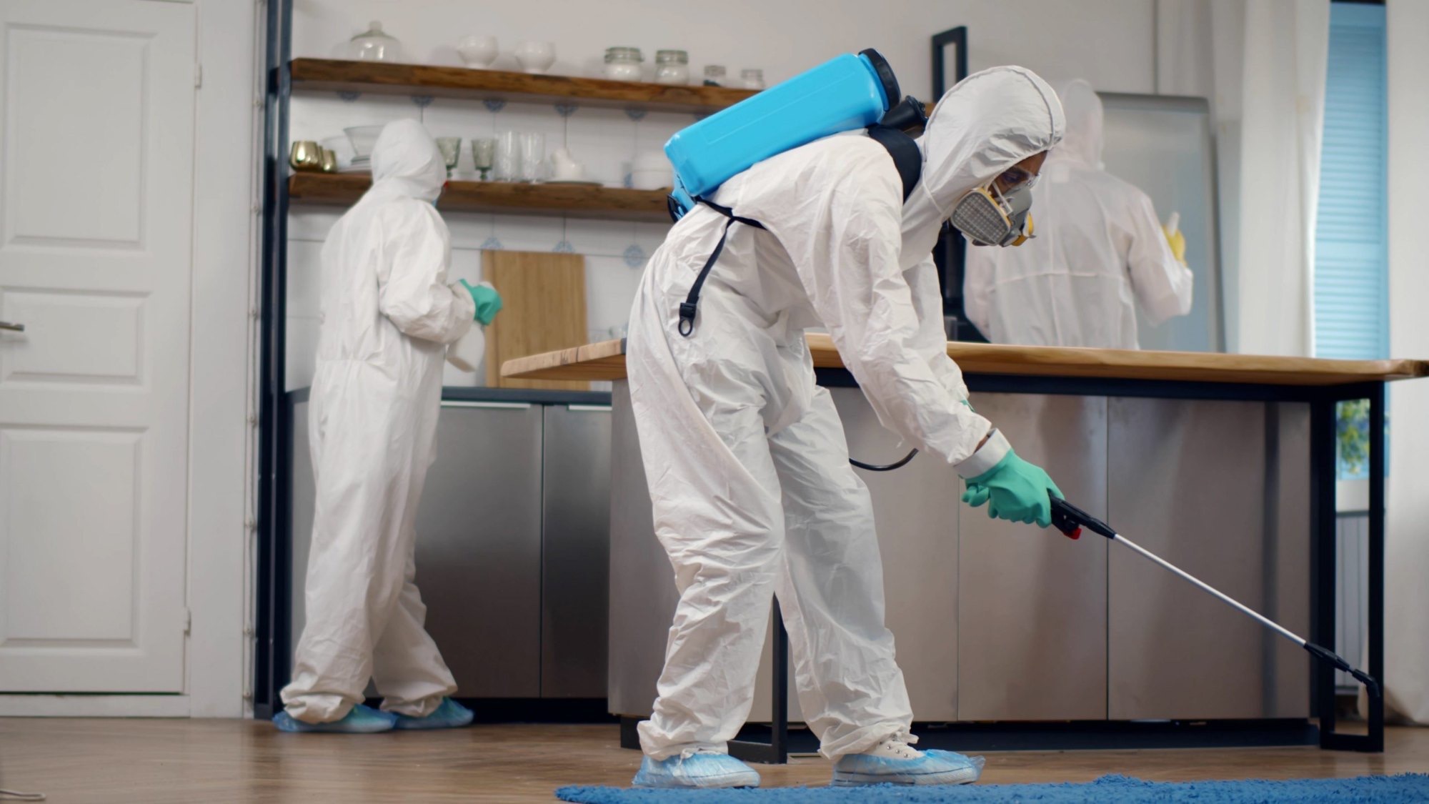 Termite Treatment service by All Out Pest Control